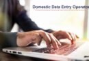Diploma in Domestic Data Entry Operator