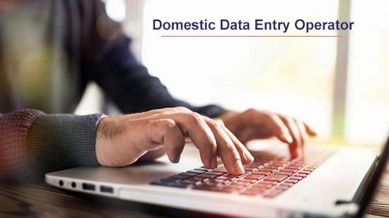 Diploma in Domestic Data Entry Operator