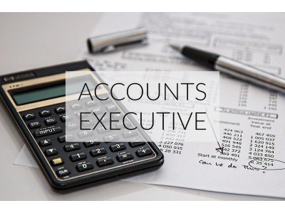 Free Accounts Executive (Recording and Reporting) Course (6Months)