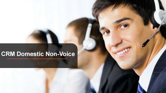 Free Associate Customer Care Non Voice Course 4Months 