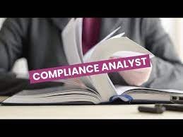 Analyst Compliance Audit