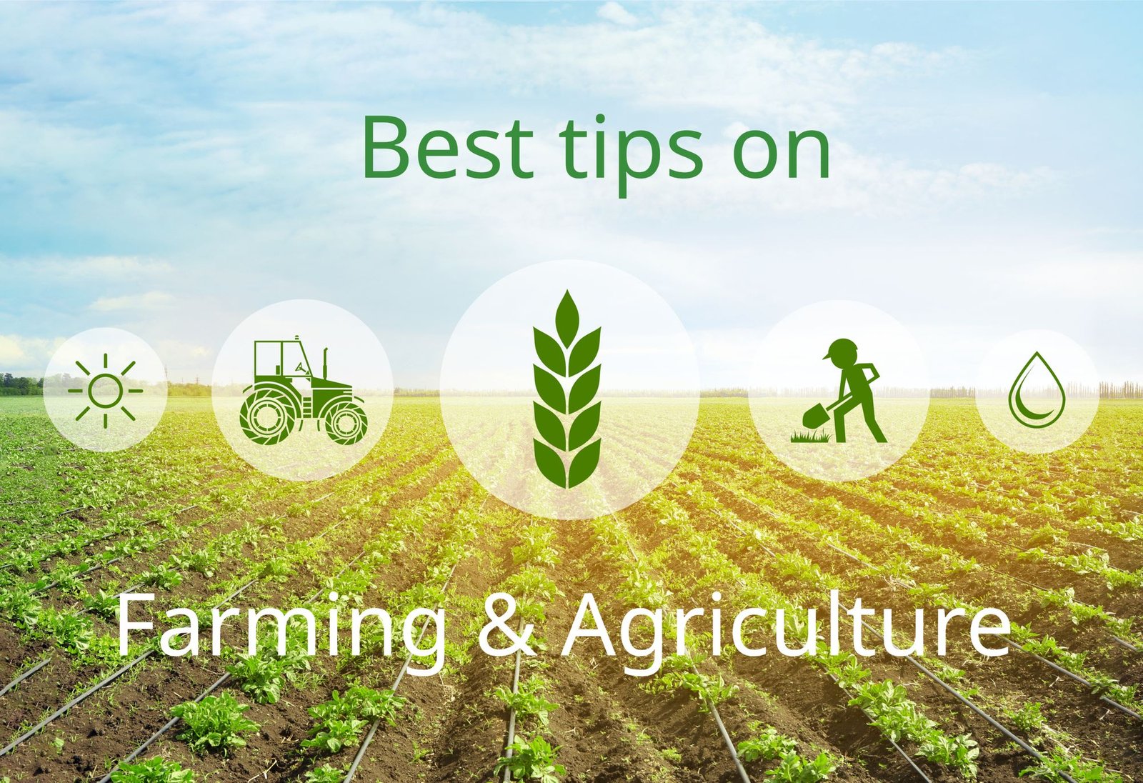 Agriculture and Farming Courses