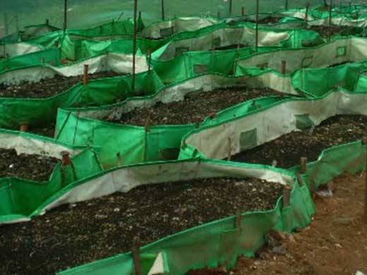 Vermicompost Producer( 6 month course )
