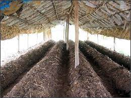 Vermicompost Producer( 6 month course )